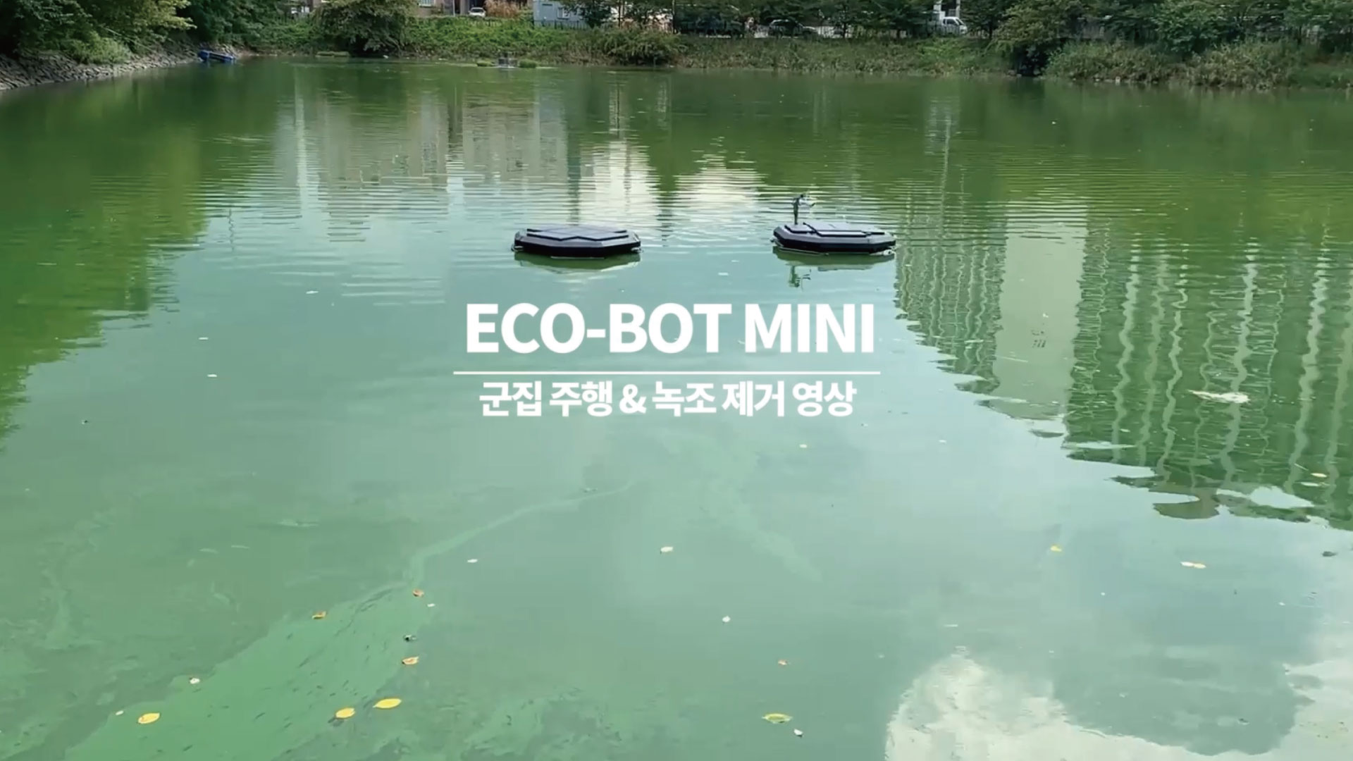 MINI ECO BOT 군집주행&녹조제거